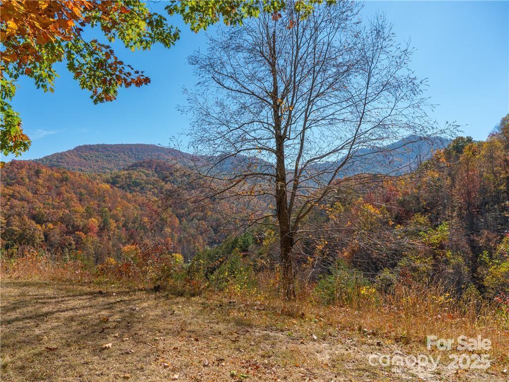99999 Turkey Creek Road 1 & 2