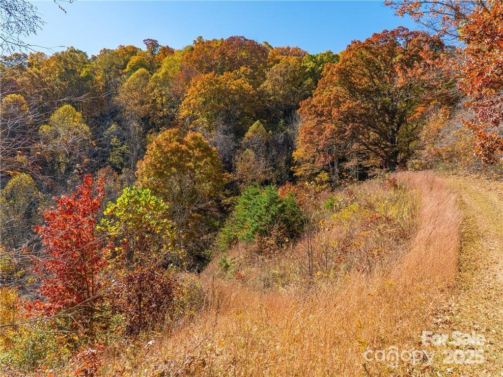 Wild Turkey Cove - Land