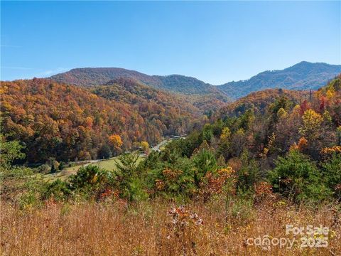 99999 Turkey Creek Road 1 & 2 Leicester NC 28748
