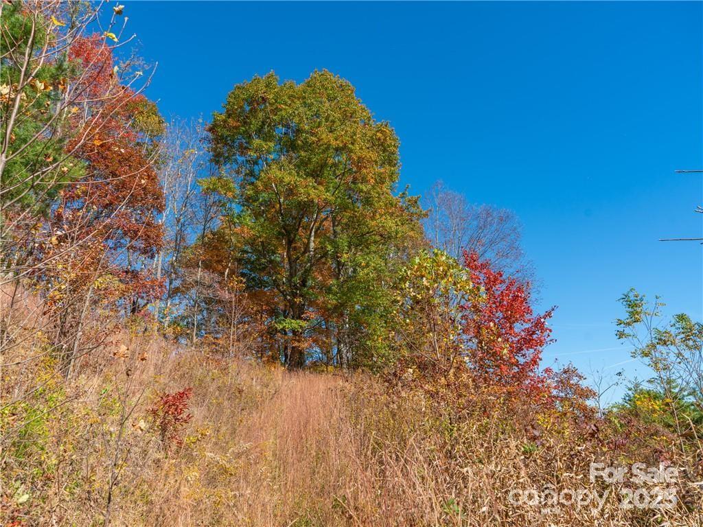 Wild Turkey Cove - Land