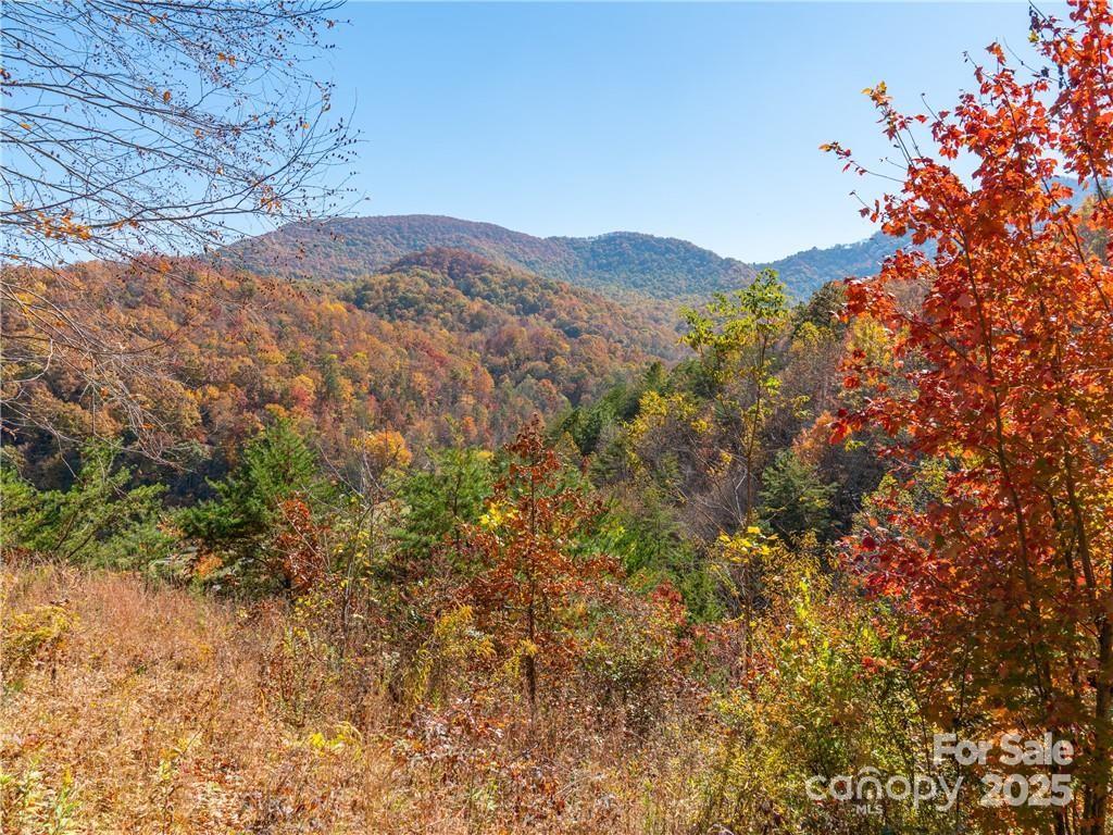 Wild Turkey Cove - Land