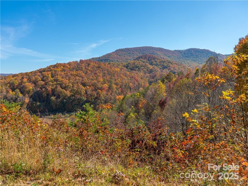 Wild Turkey Cove - Land