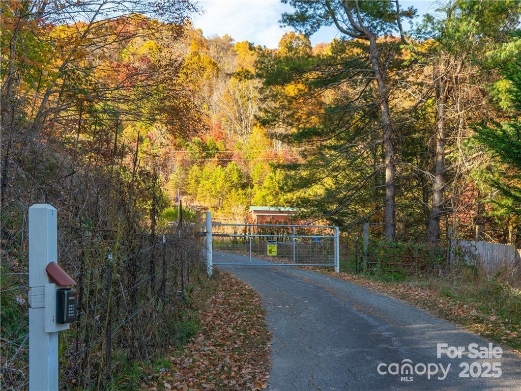 Wild Turkey Cove - Land