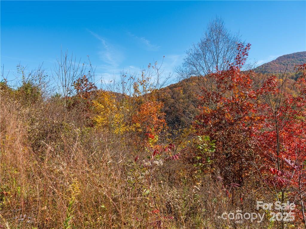 Wild Turkey Cove - Land