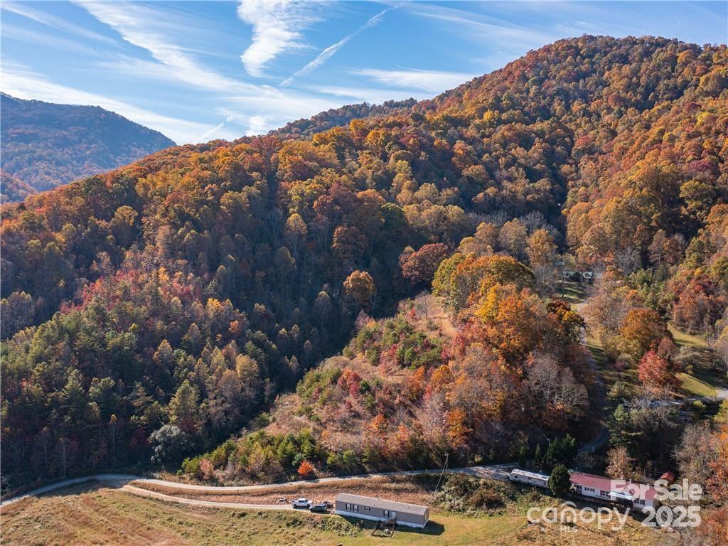 Wild Turkey Cove - Land