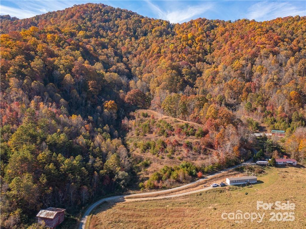 Wild Turkey Cove - Land