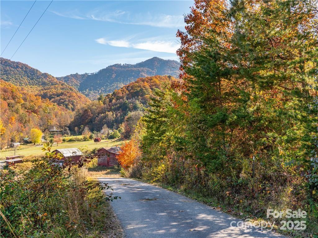 Wild Turkey Cove - Land