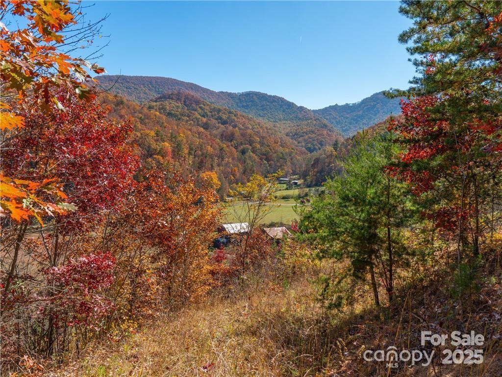 Wild Turkey Cove - Land