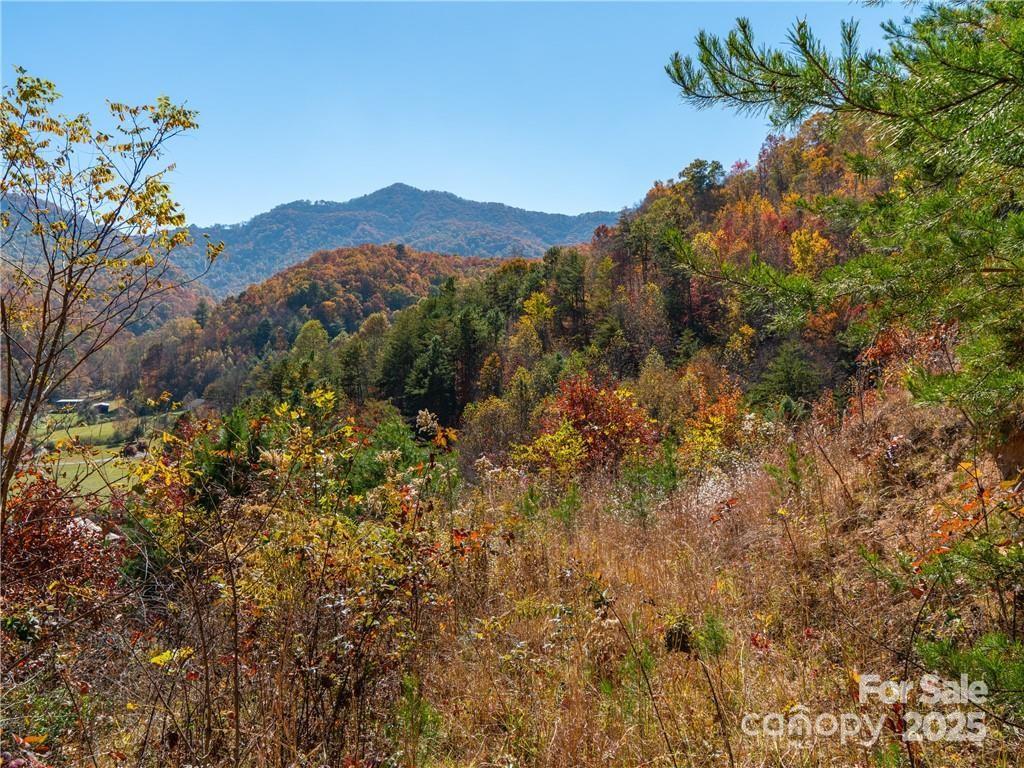 Wild Turkey Cove - Land