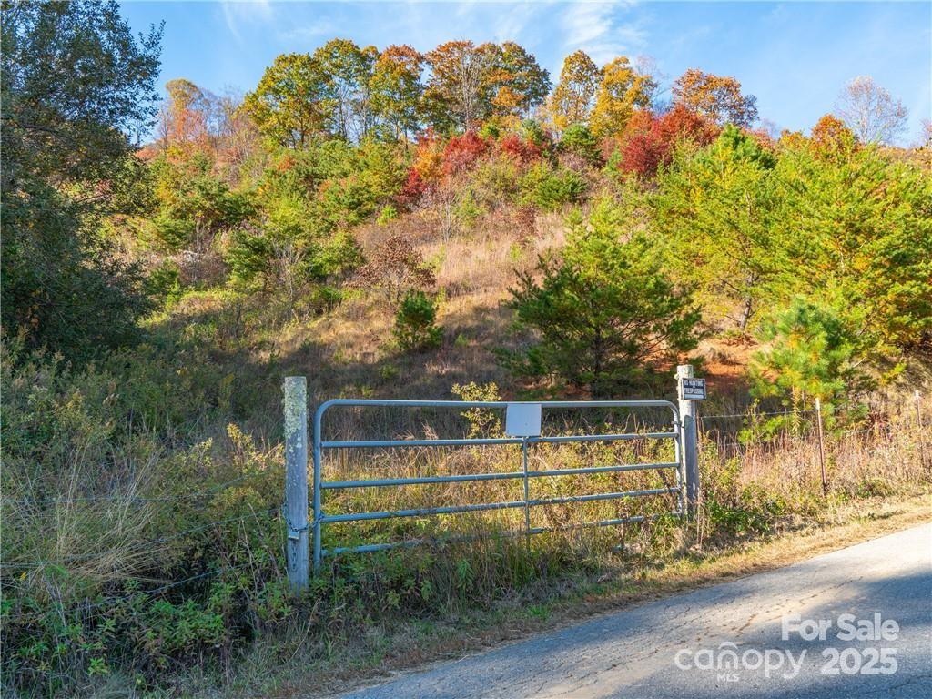 Wild Turkey Cove - Land