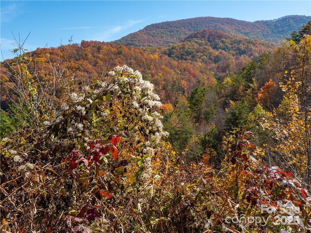 Wild Turkey Cove - Land