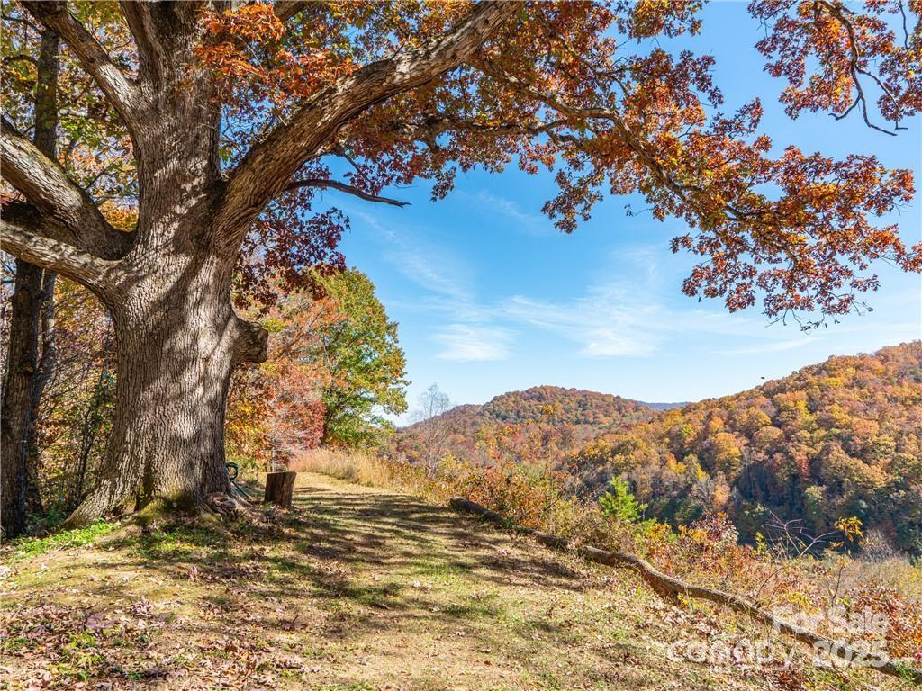 Wild Turkey Cove - Land