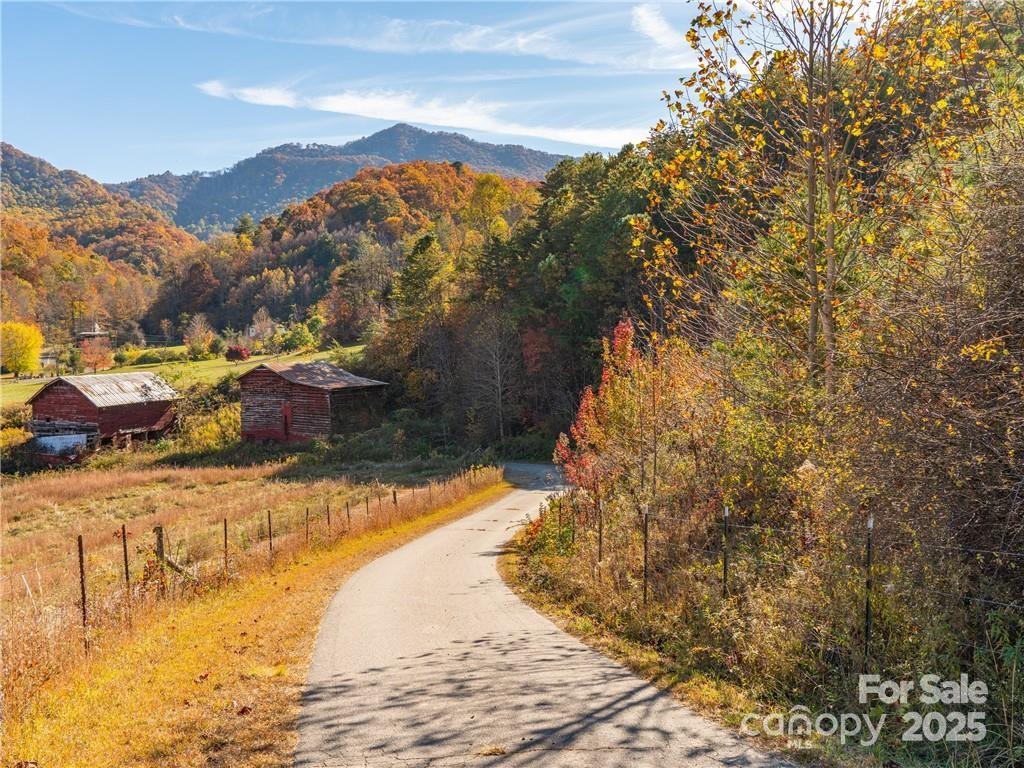 Wild Turkey Cove - Land