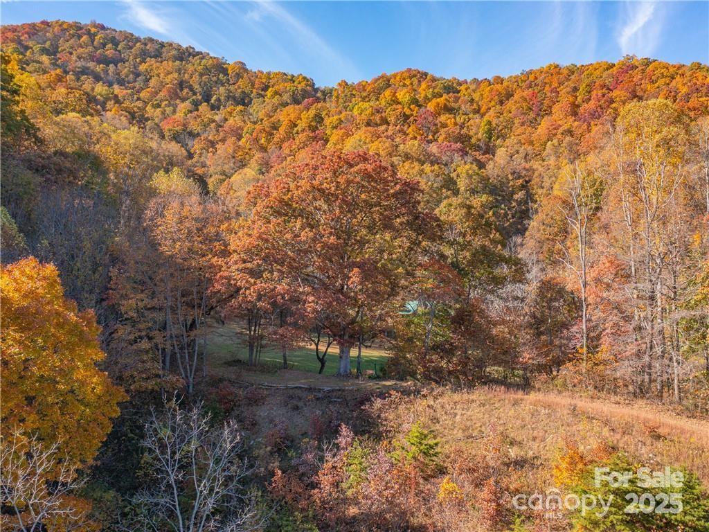 Wild Turkey Cove - Land