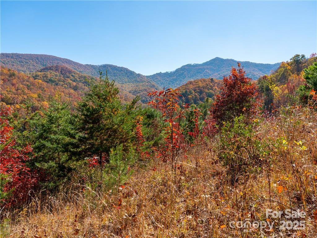 Wild Turkey Cove - Land