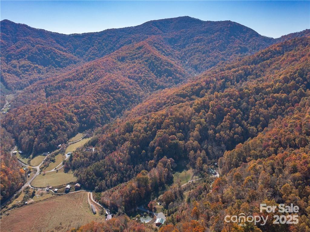 Wild Turkey Cove - Land