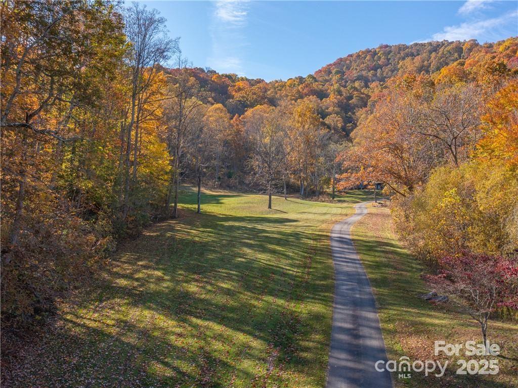 Wild Turkey Cove - Land