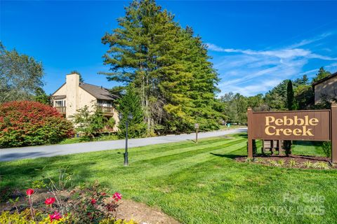 12 Pebble Creek Drive Asheville NC 28803