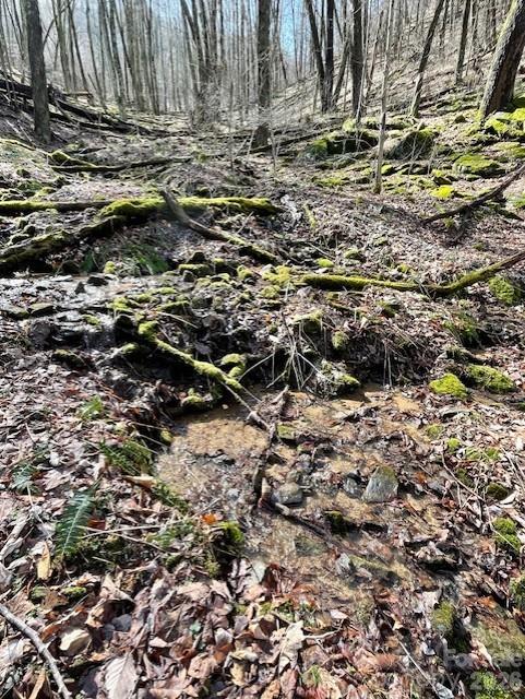 106 Avalon Gap Trail, Waynesville, NC, 28785