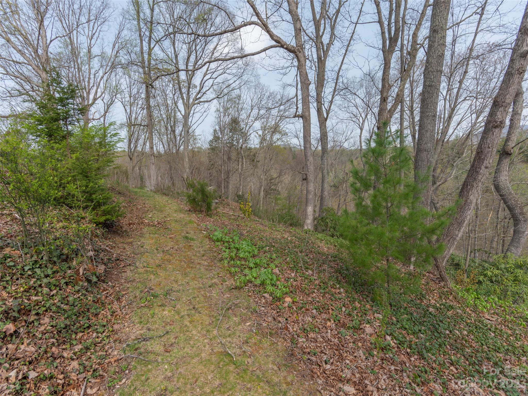 Swannanoa Hills - Residential