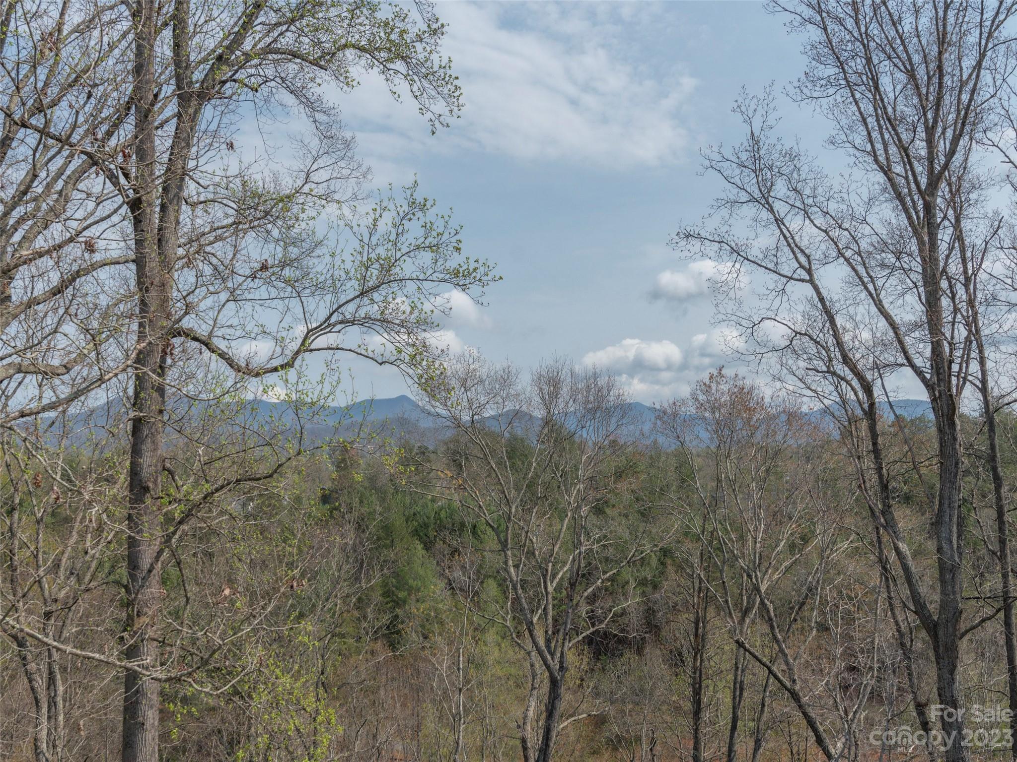 Swannanoa Hills - Residential