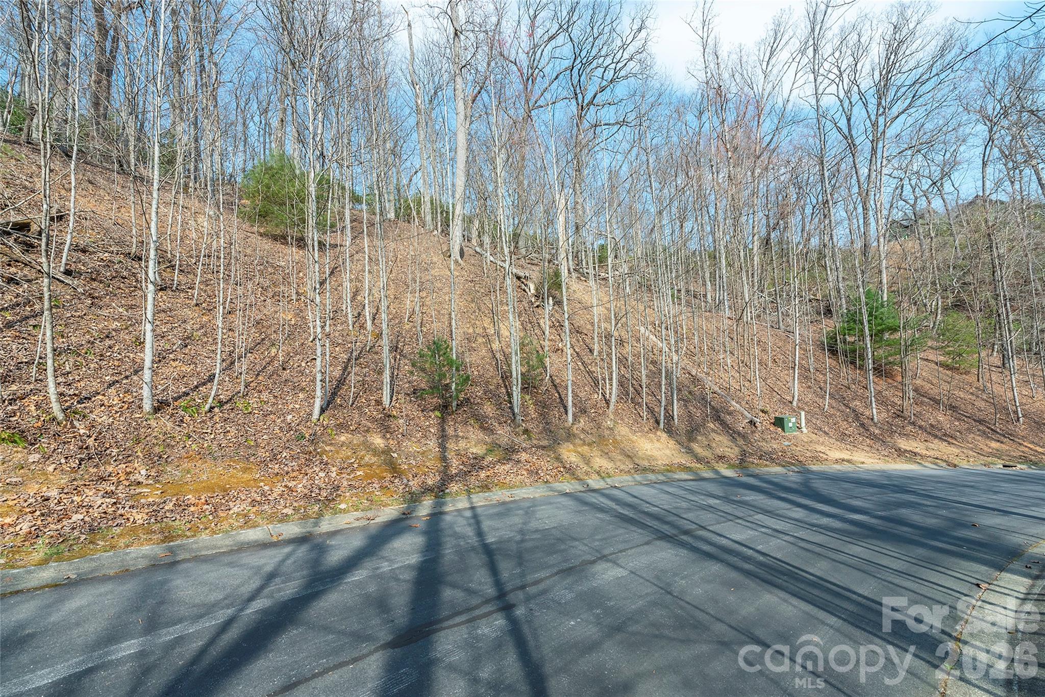 Lot 12 Shining Rock Path