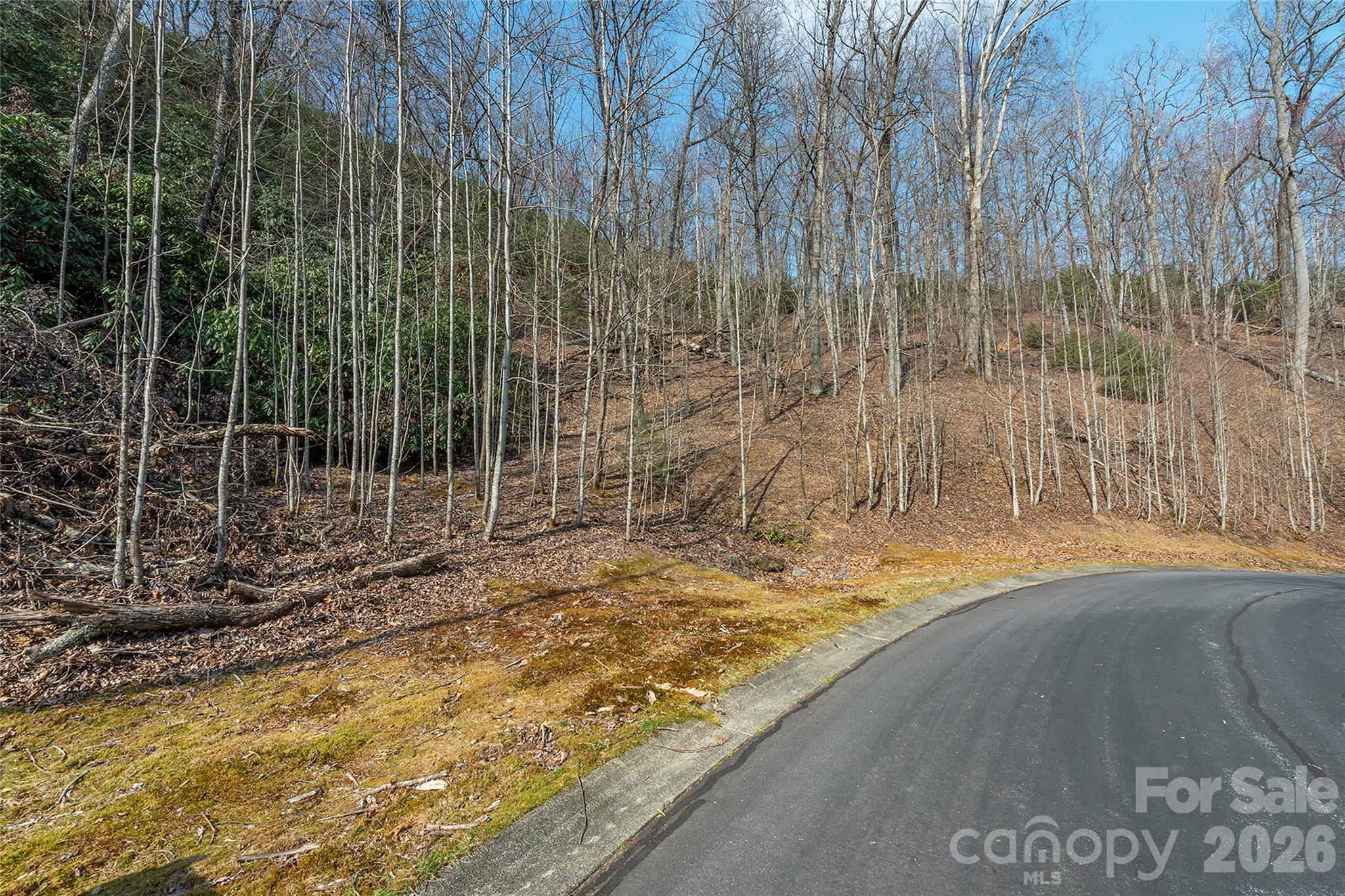 Lot 12 Shining Rock Path