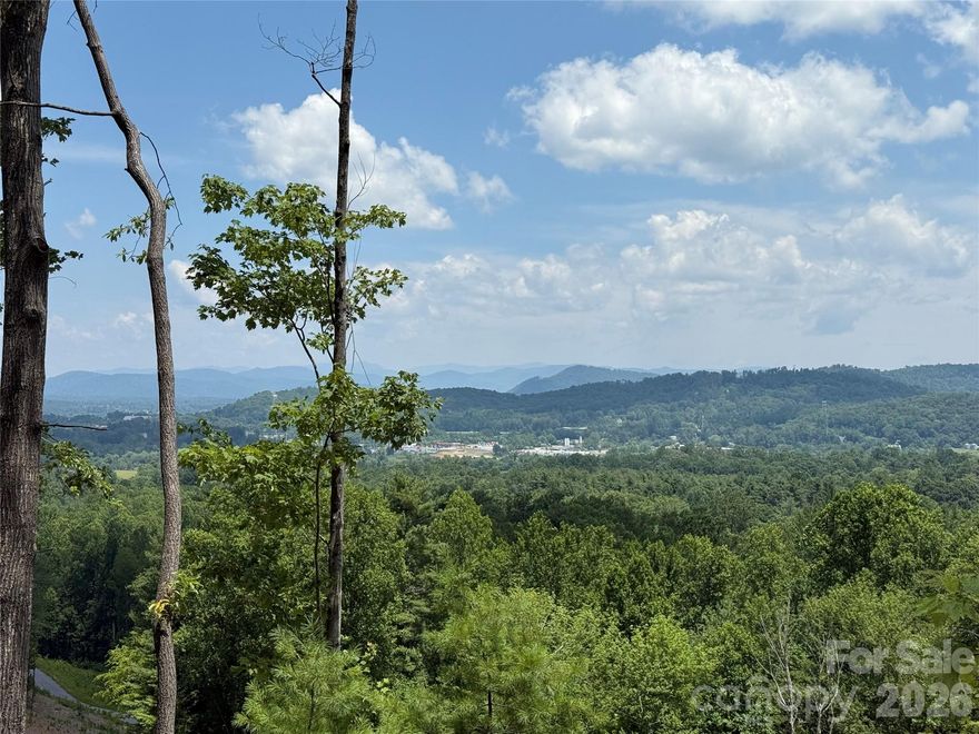 Great opportunity to purchase land just minutes from everything! Minimal site prep, protective covenants, and over an acre of location, location, location! Only 15 minutes to Sierra Nevada Brewing Company, Biltmore Park, and the Asheville airport! And only 10 minutes to Downtown Hendersonville. CITY WATER! Visit your future lot today and begin planning your custom-built home.