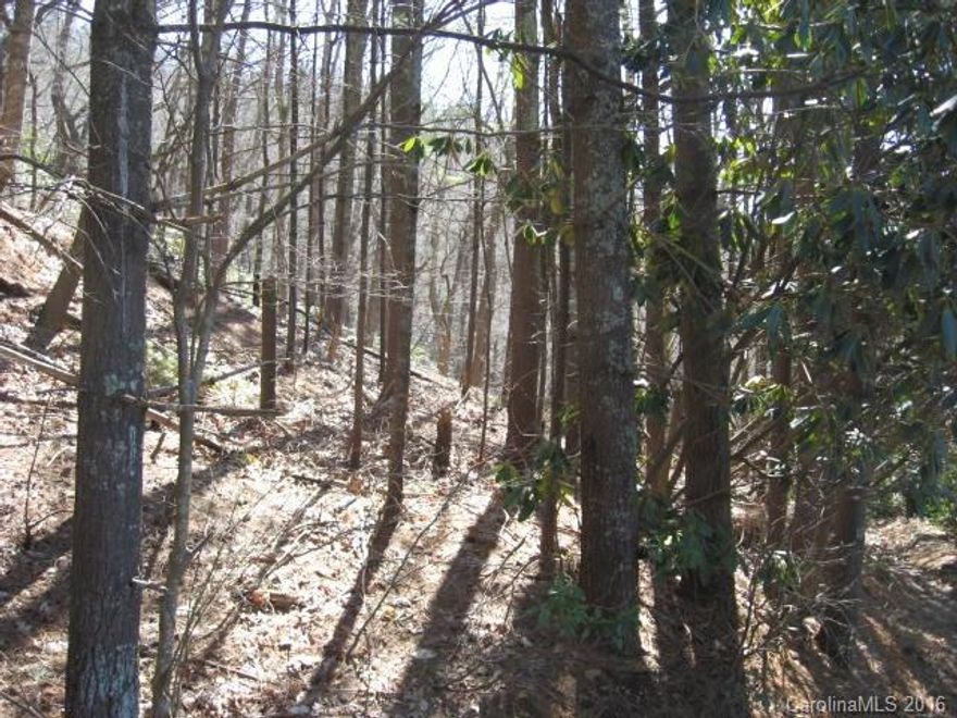Sloping building lot in Charmeldee Acres, an established Black Mouontain community. This SE facing 1.25 acre lot front on two roads for multiple building sites. Enter from Mountain cove road alt lower potion of lot from a dead-end street or access from Old toll Road. Wooded lot offers expsnsive winter views, privacy, possible valley views and city water. Buyer will need to install septic. Walk to hiking trails, Minutes to downtown Black Mountain. Roads maintained by HOA  association.