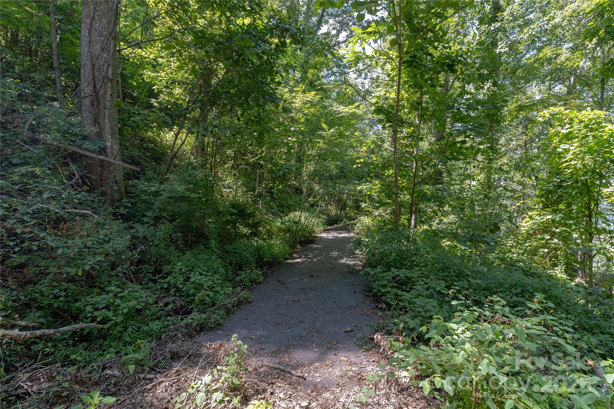 Chestnut Mountain - Land