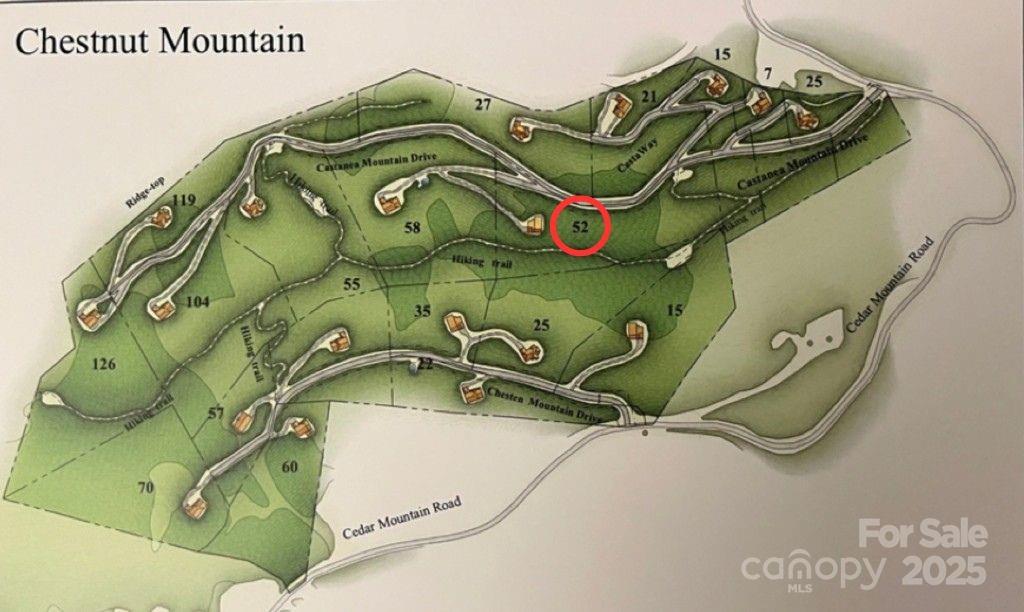 Chestnut Mountain - Land