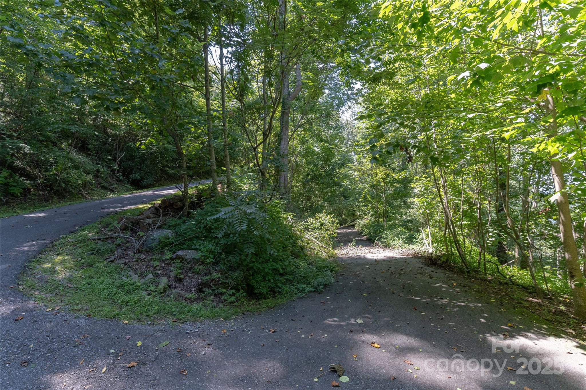 Chestnut Mountain - Land