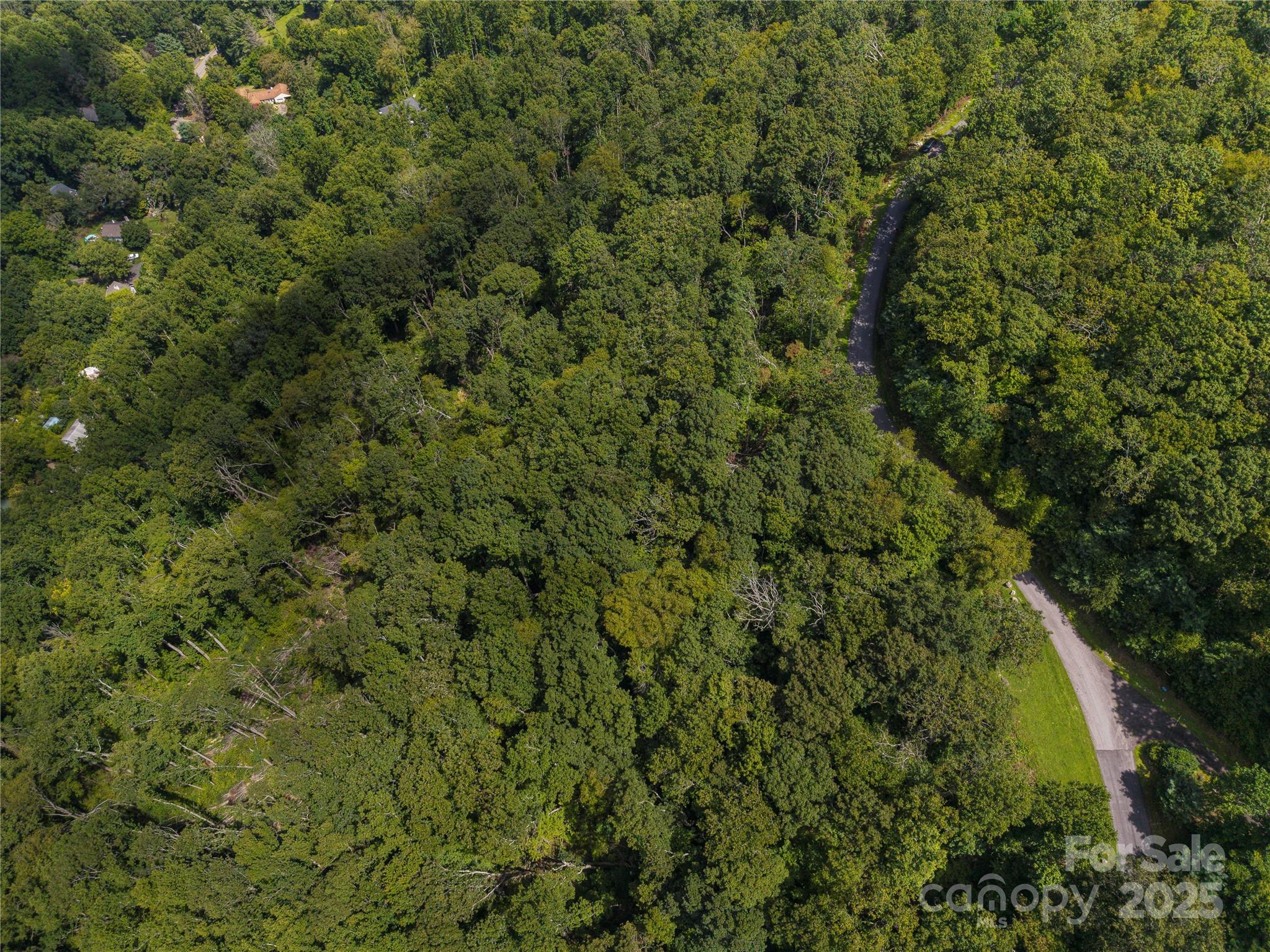 52 Castanea Mountain Drive