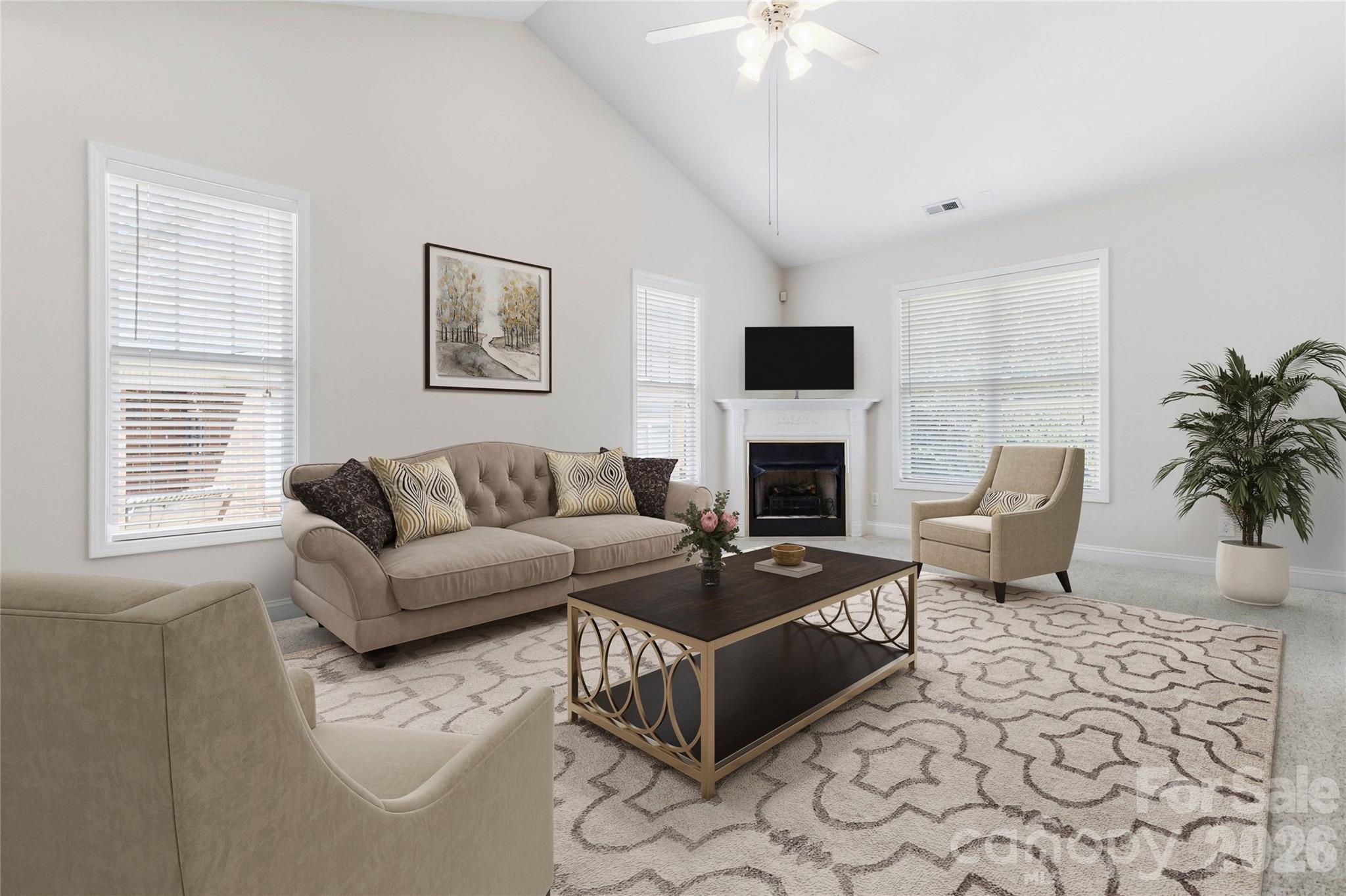 Mint Lake Village - Residential