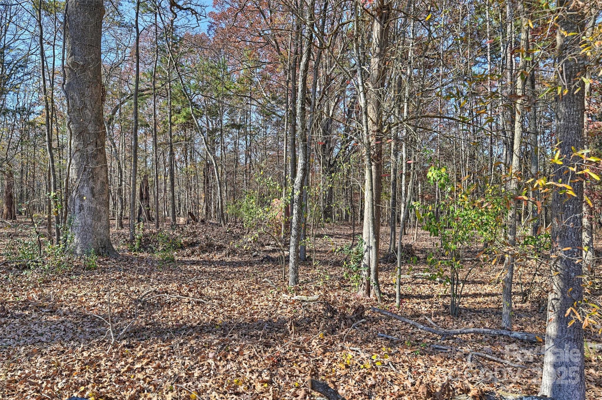 Country Woods East - Residential