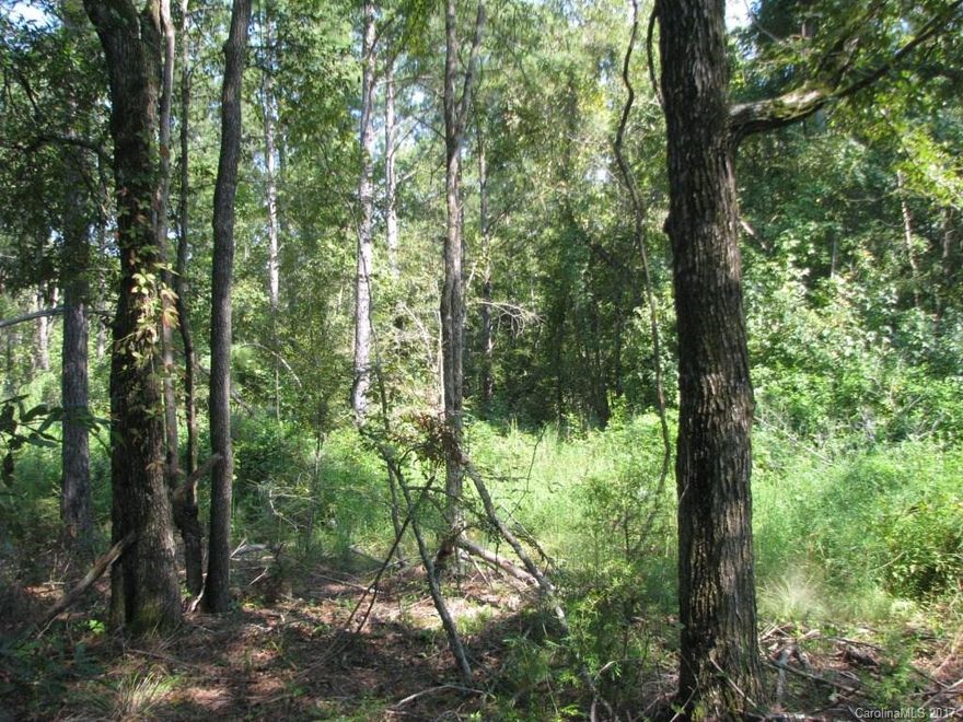 Flat to gentle sloping tract covered in large pine trees and a few hardwoods.  Year round stream and abundant wildlife.  Tract front on Norfolk Southern Railroad and US Hwy 321 near Blackstock SC.  Pines are ready to thin again or to fully harvest for cash flow.