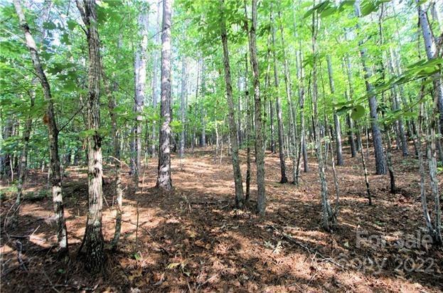 Deer Run at Lake Lure - Land