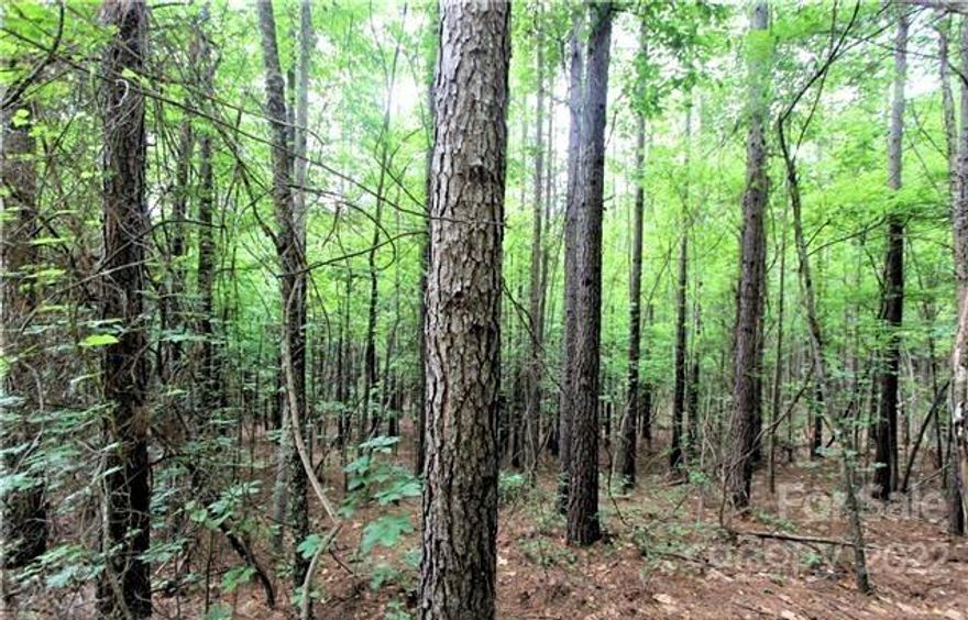 This listing is for a 1.17 acre building lot located in Deer Run Subdivision at Lake Lure. Property is located just four (4) miles from the water's edge of beautiful Lake Lure. Great private location for primary residence or vacation home. There are other lots for sale in this subdivision and adjoining lots can be combined to form a larger property for 1 yearly dues of only $375.00. Centrally located to Asheville, Charlotte and many points of interest in Western NC; as well as Greenville and the upstate areas of SC. About 6 miles to downtown Lake Lure, and 7 miles to Chimney Rock State Park. Approximately 15 minutes from the Tryon International Equestrian Center. Lot requires well and septic.