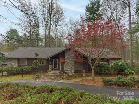 16 Jasmine Place Laurel Park NC 28739