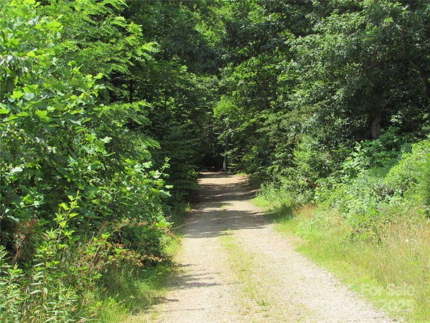 Desirable Location off Lake Eden Rd. Beautiful View all around. These 4.20 acres are mostly wooded with rock formations. at the back of the pr, property.  Sloping to steep with south easterly views. There will be some restrictions put on the property such as no manufactured homes, minimum square footage, and no livestock. Just minutes from Camp Rockmont, Mountain Home Thrift Store, Owen High School, and minutes to I-40, downtown Black Mountain, or Swannanoa. Restrictions and road maintenance will be conveyed in deed at closing.