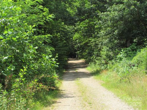 99999 Owen Valley Trail Black Mountain NC 28711