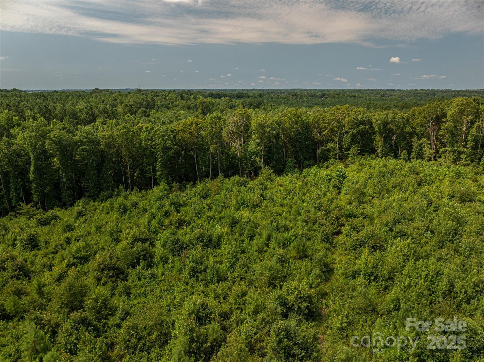 00 McCurry Farm Lane F1 & F2