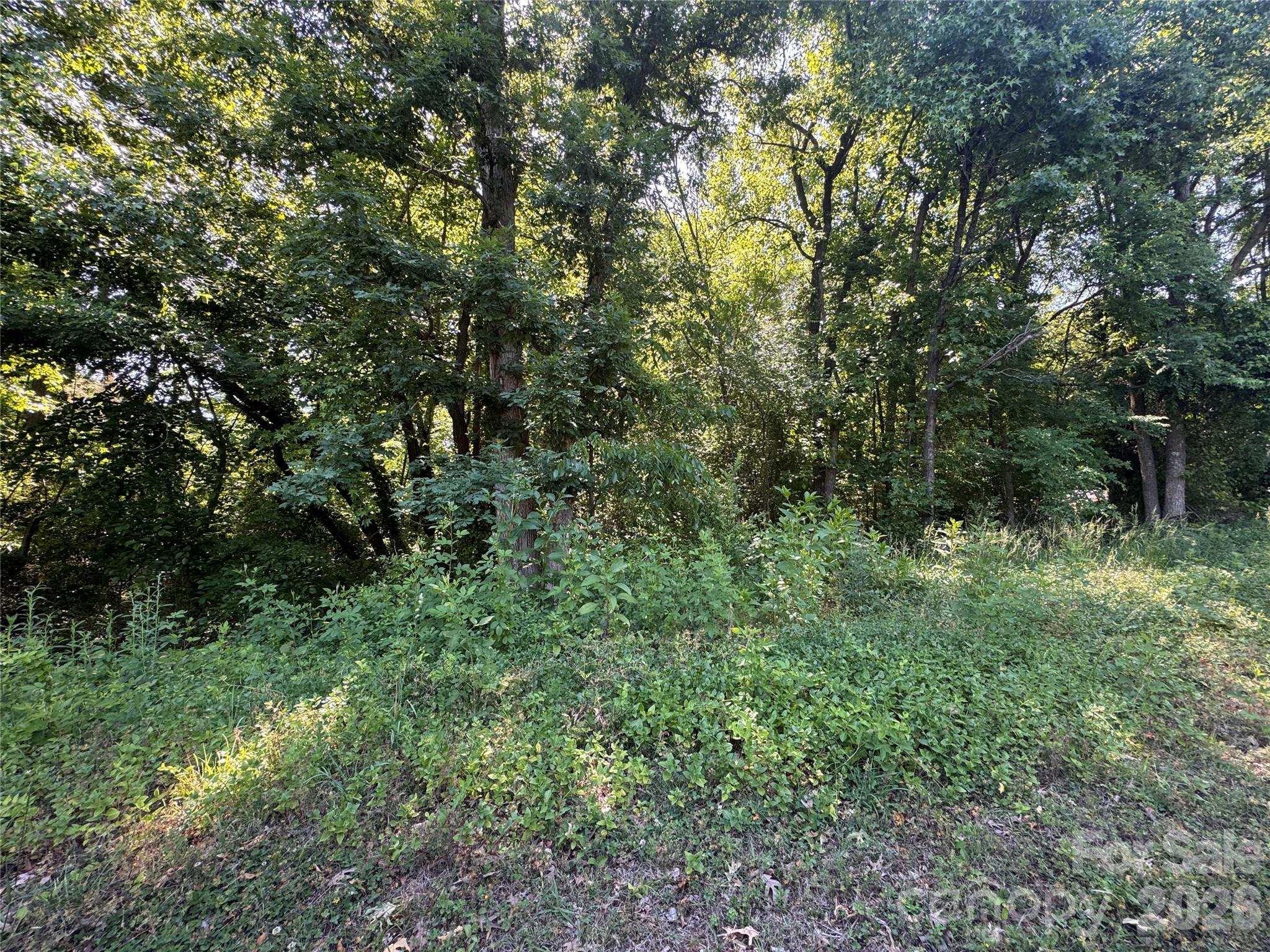 0 Tanglewood Drive