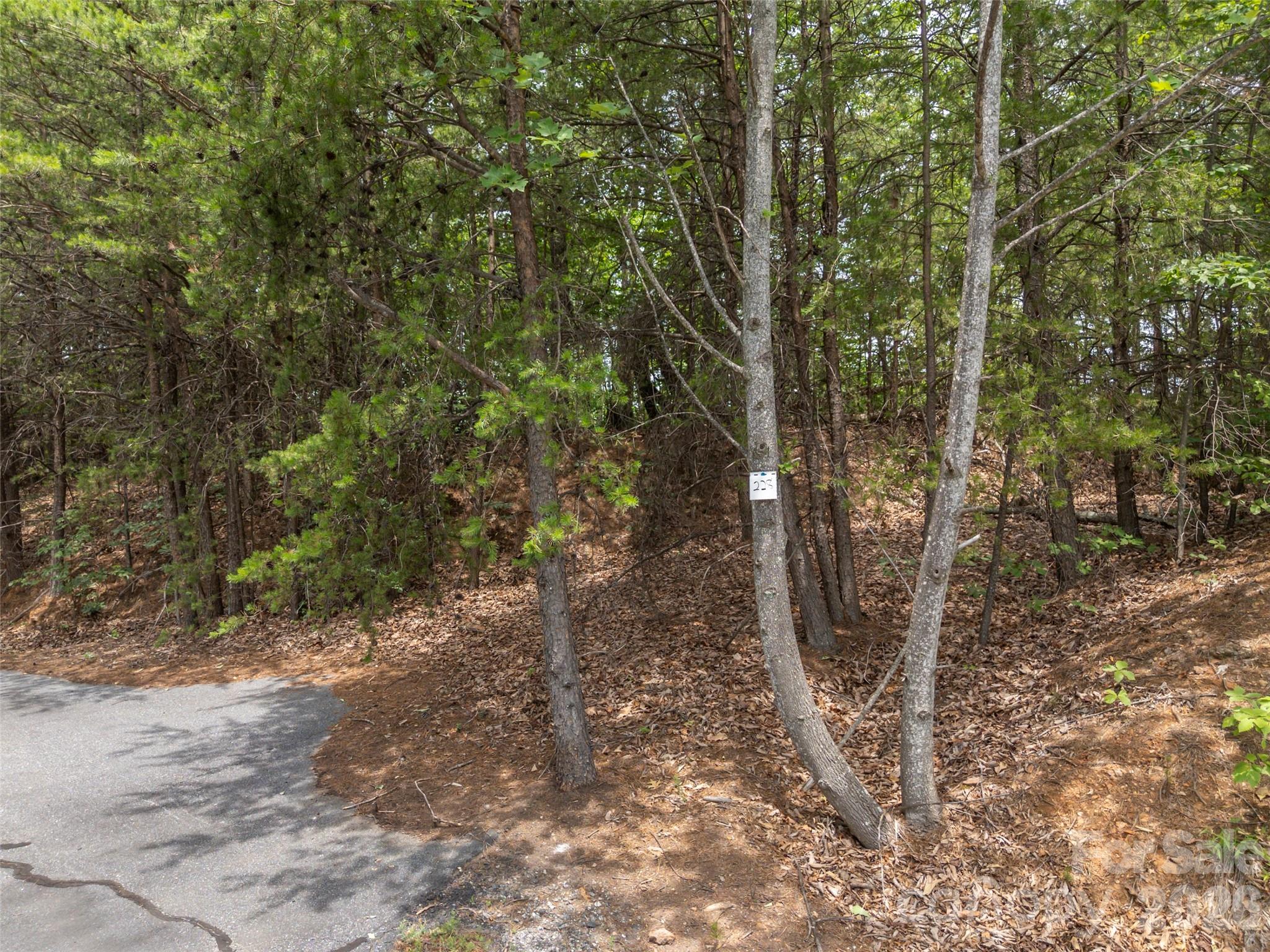 228 Brighton Drive