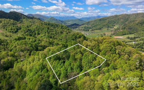 72 Lonesome Pines Road Clyde NC 28721