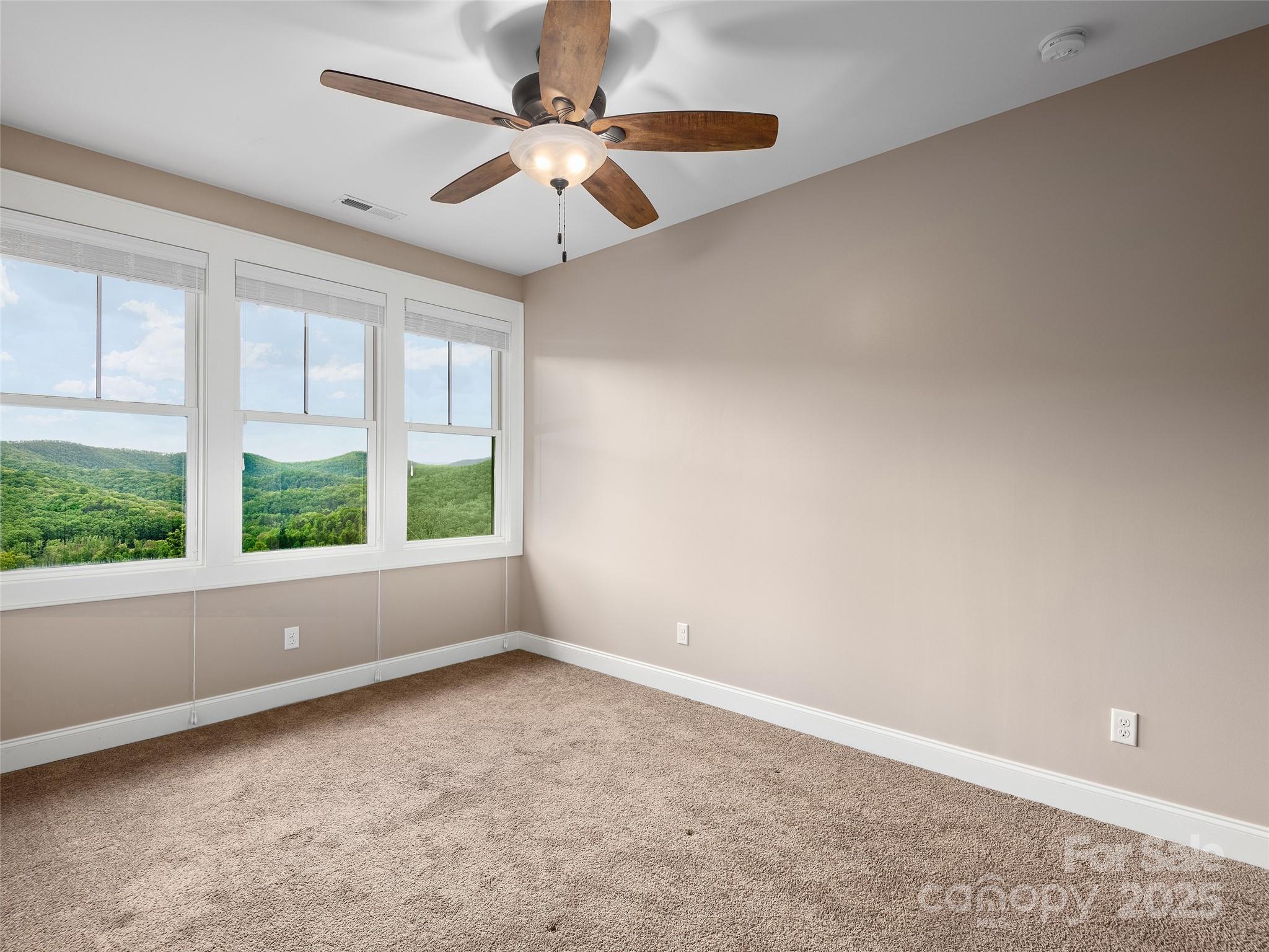 Homestead at Mills River - Residential