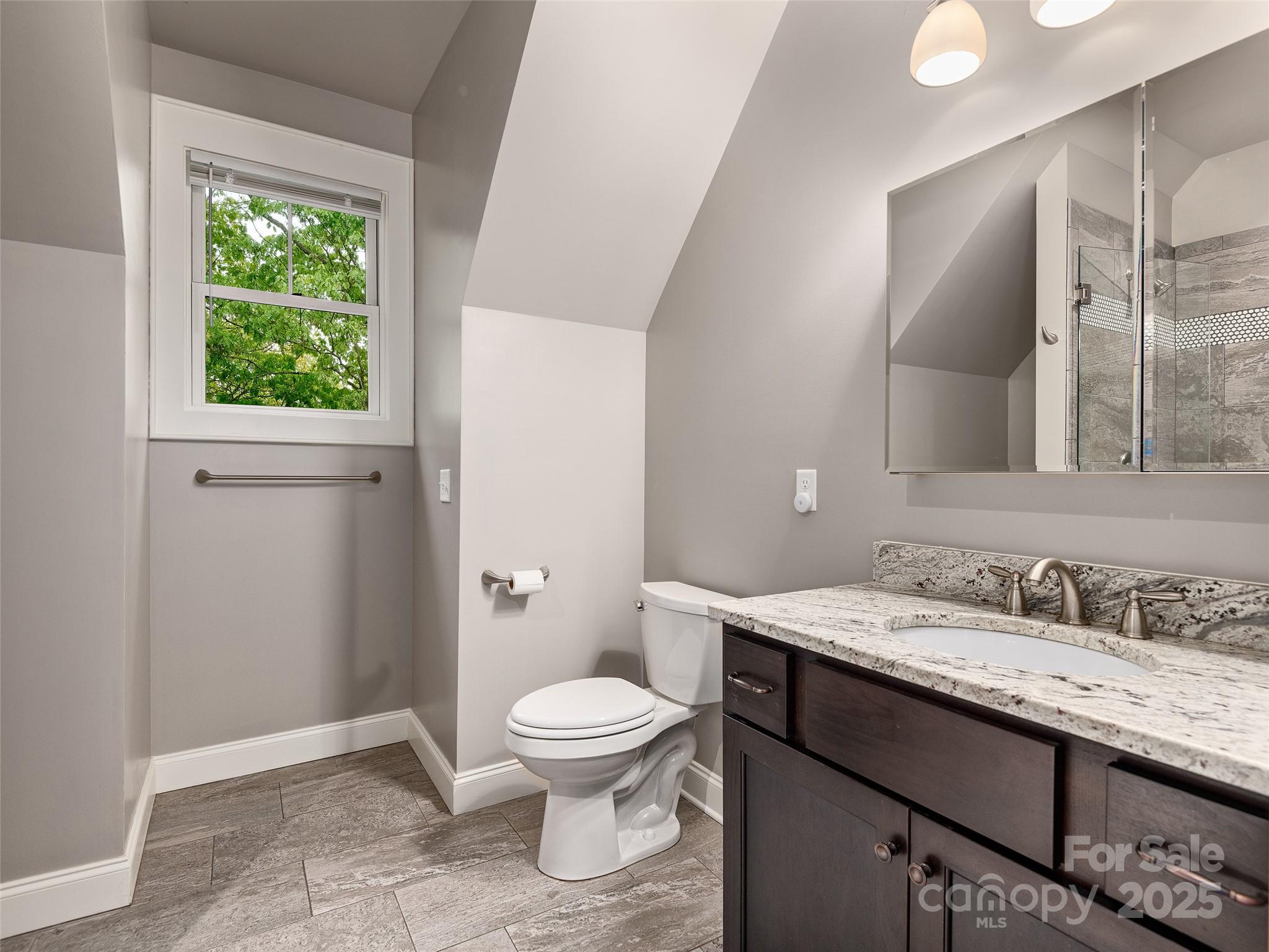 Homestead at Mills River - Residential