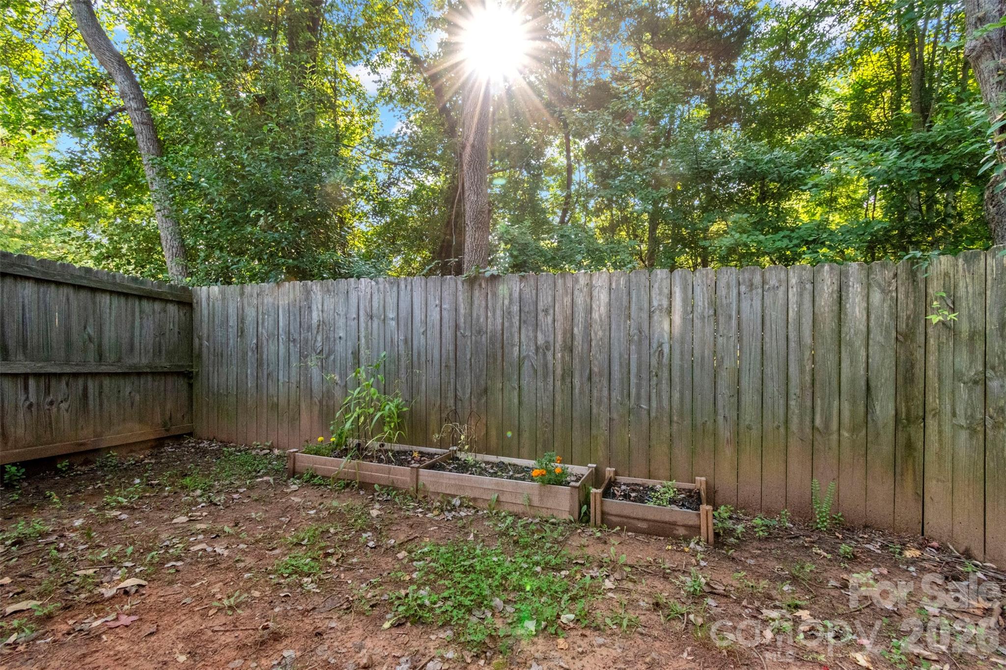 Peachtree Hills - Residential