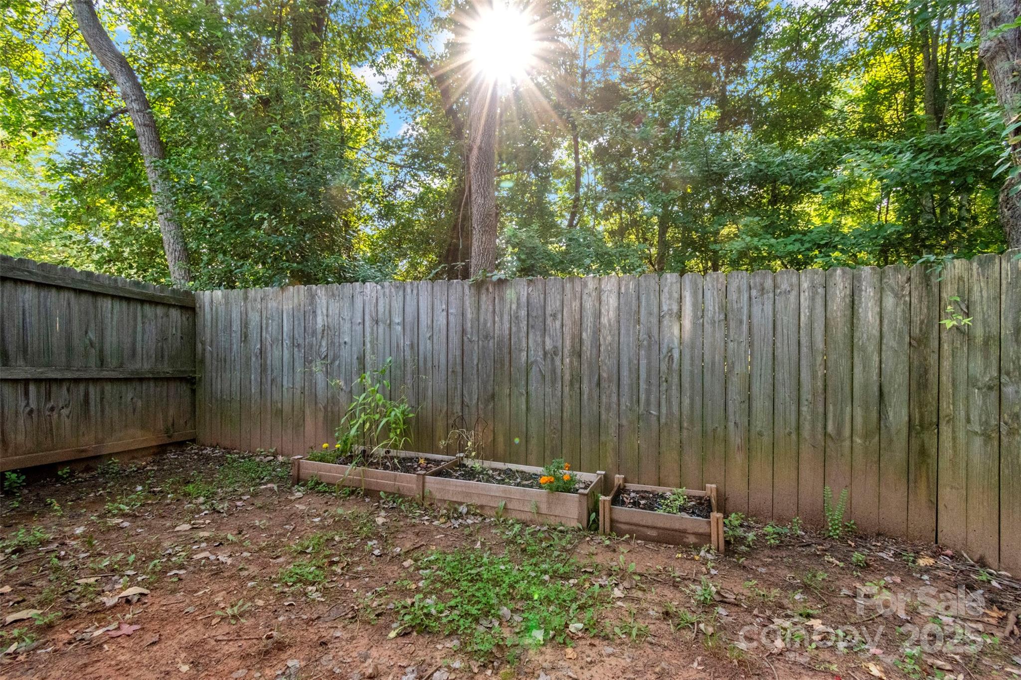 Peachtree Hills - Residential