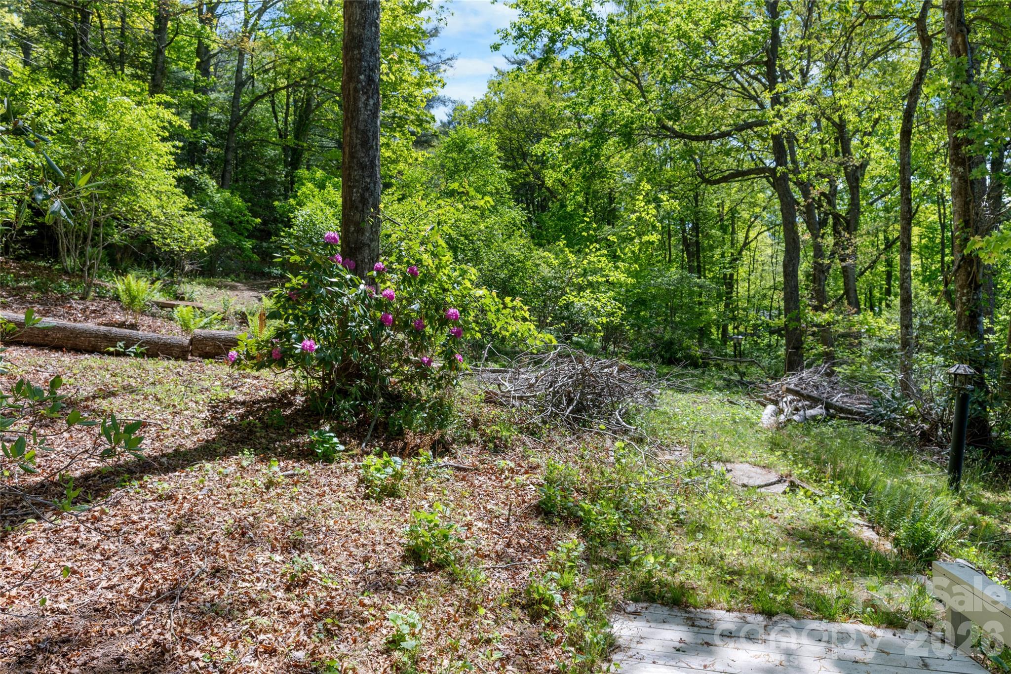 Lake Toxaway Estates - Land